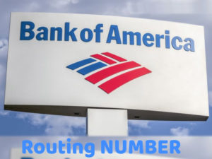 bank of america incoming wire routing number